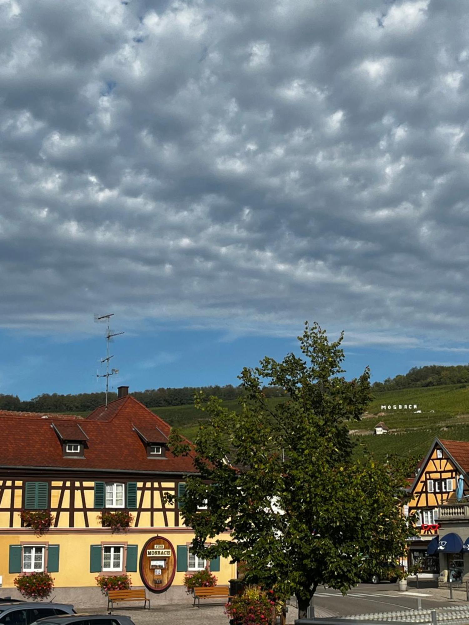 Les Chambres Du Marlenberg Marlenheim Buitenkant foto